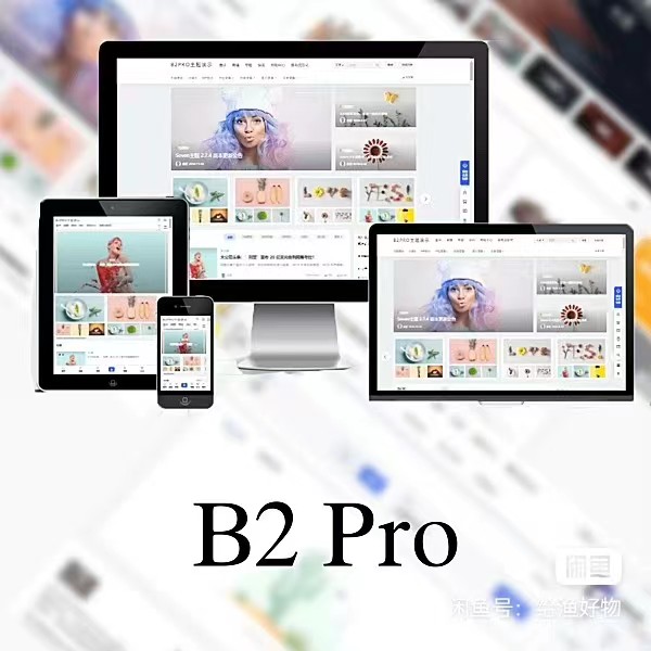 WordPress B2 Pro 主题5.2.0最新开心版,附带官方包体与授权文件-林天恒博客
