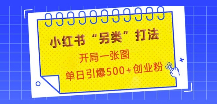 小红书“另类”打法，开局一张图，单日引爆500+精准创业粉-天恒言财