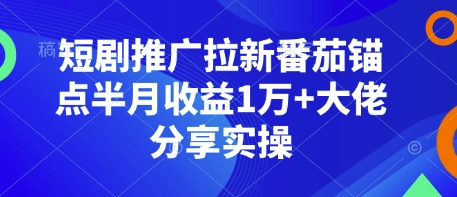 短剧推广拉新番茄锚点半月收益1万+大佬分享实操-天恒言财