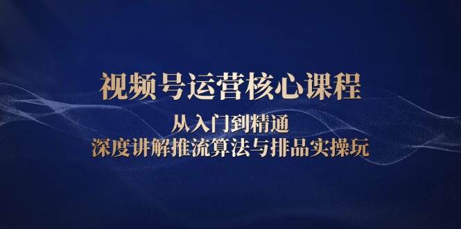 视频号运营核心课程，从入门到精通，深度讲解推流算法与排品实操玩-天恒言财