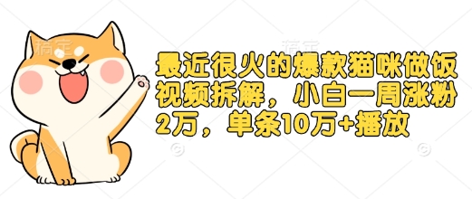 最近很火的爆款猫咪做饭视频拆解，小白一周涨粉2万，单条10万+播放(附保姆级教程)-天恒言财