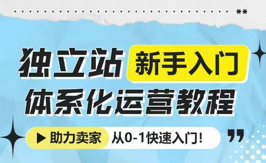 独立站新手入门体系化运营教程，助力独立站卖家从0-1快速入门!-天恒言财