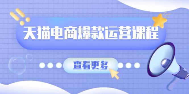 天猫电商爆款运营课程，爆款卖点提炼与流量实操，多套模型全面学习-天恒言财