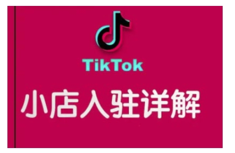 TikTok跨境小店运营全攻略，帮助你独立运营TK跨境小店的能力，实现销量增长-天恒言财