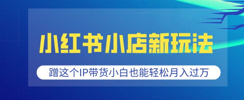 小红书小店新玩法，蹭这个IP带货，小白也能轻松月入过W-天恒言财