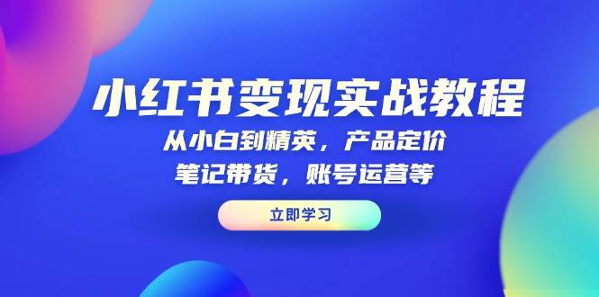 小红书变现实战教程：从小白到精英，产品定价，笔记带货，账号运营等-天恒言财