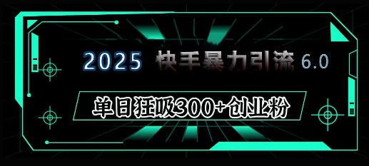 2025年快手6.0保姆级教程震撼来袭，单日狂吸300+精准创业粉-天恒言财