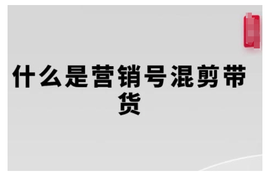 营销号混剪带货，从内容创作到流量变现的全流程，教你用营销号形式做混剪带货-天恒言财