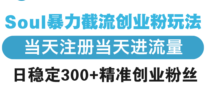 Soul暴力截流创业粉玩法，当天注册当天进流量，日稳定300+精准创业粉丝-天恒言财