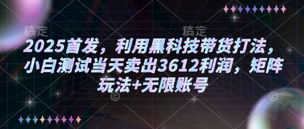 2025首发，利用黑科技带货打法，小白测试当天卖出3612利润，矩阵玩法+无限账号-天恒言财