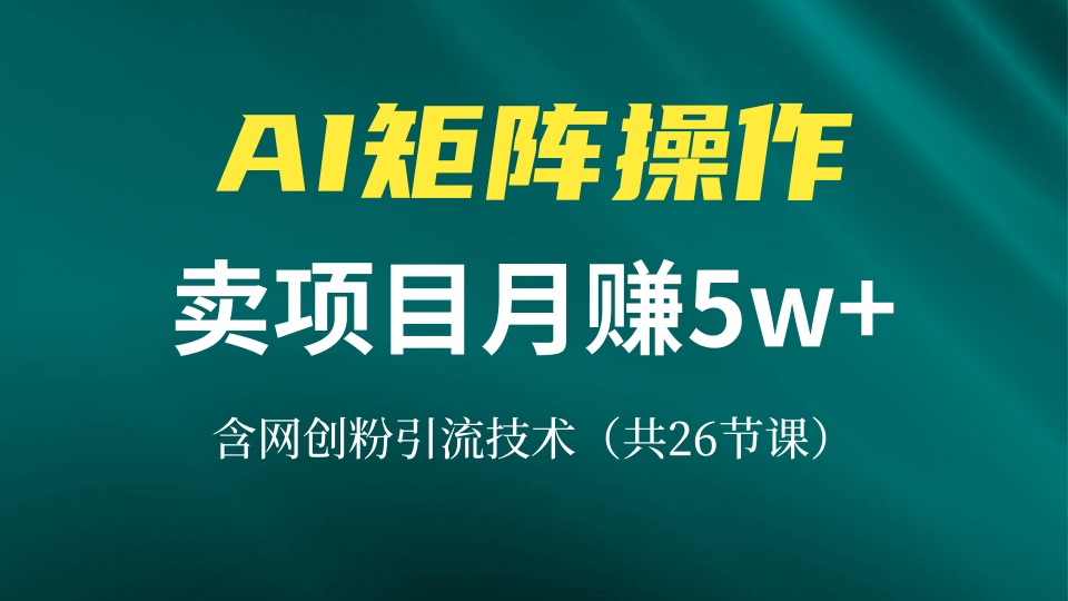 网创IP打造课，借助AI卖项目月赚5万+，含引流技术(共26节课-天恒言财