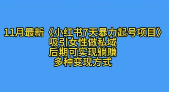 K总部落11月最新小红书7天暴力起号项目，吸引女性做私域【揭秘】-天恒言财