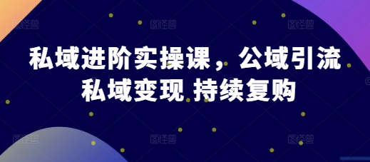 私域进阶实操课，公域引流 私域变现 持续复购-天恒言财