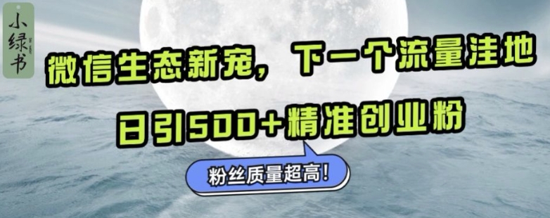 微信生态新宠小绿书：下一个流量洼地，日引500+精准创业粉，粉丝质量超高-天恒言财