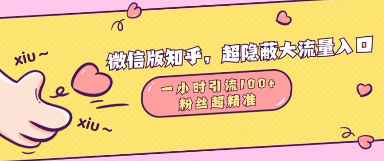 微信版知乎，超隐蔽流量入口1小时引流100人，粉丝质量超高【揭秘】-天恒言财