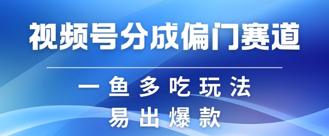 视频号创作者分成计划偏门类目，容易爆流，实拍内容简单易做【揭秘】-天恒言财