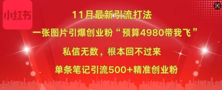 小红书11月最新图片打粉，一张图片引爆创业粉，“预算4980带我飞”，单条引流500+精准创业粉-天恒言财